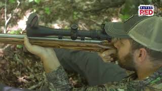 Squirrel Hunting Tips & Tricks