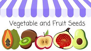 Vegetable and Fruit Seeds for Preschool, Easy to Undertsand |  Categorize Seeds by color and size