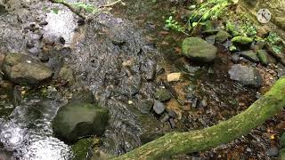 Rock throwing at a river