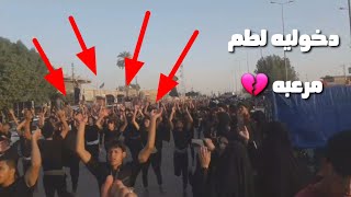 دخوليه مرعبه لجميع المواكب الحسينيه لطم ومسيره عجيبه اتحداك ماتبجي الحمزه