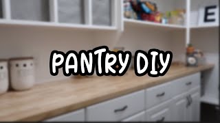 Pantry DIY ! (butcher block countertops, new lights & paint)