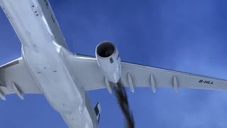 Cathay pacific flight 780 landing animation