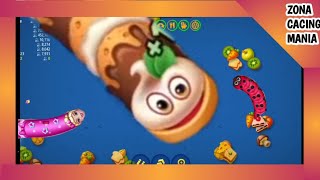 🐍 WORM ZONE IO UPDATE Mod apk V 5.5.0