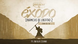 Dinámicas de libertad 2 | Éxodo 16:1-36 | Ps. Nicolás Osorio