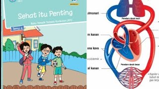 Video Pembelajaran Tematik kelas 5 tema 4 subtema 1 #videoanimasi