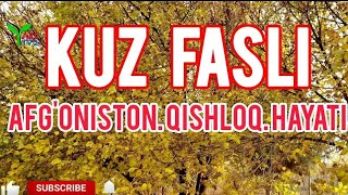 Til'la rang' ka bur'kalgan kuz fasli Afg'oniston qishloq hayati فصل خزان در طبعیت قشلاق