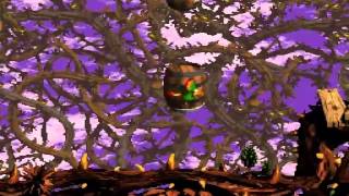 Donkey Kong Country 2 (Perfect Run): World 7, Level 1