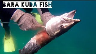 TRAILER SPEARFISHING LANGSUNG MASAK DI PANTAI | Spearfishing cooking and eating