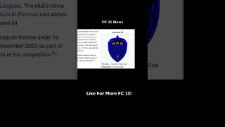 FC 25 LEAKS & NEWS  #fc24 #fifa  #football #fc 25 #euro2024