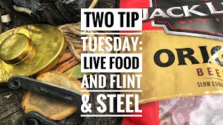 Two Tip Tuesday: Live Food and Flint & Steel