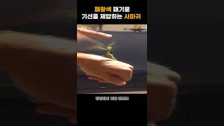 상대방의 기선~을 제압해버리는 사마귀