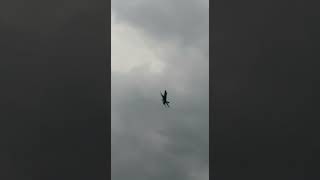 Very low and loud Swiss F18 riat 2019