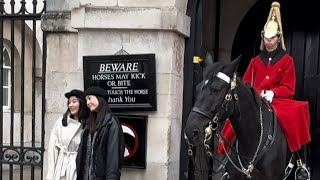 king’s guard horses and 2 friendly sisters