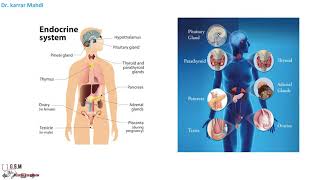 1 Introduction of endocrinology