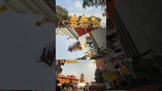 Monkey Temple 🙏| Swoimbhu, Kathmandu | #shorts  #shortsvideo #short #shortsviral #shortsfeed