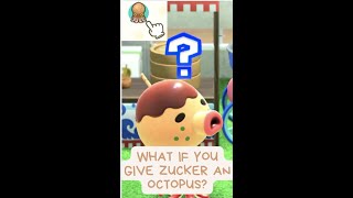 What If You Give Zucker An Octopus