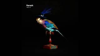 Fabric 78 - Raresh (2014) Full Mix Album