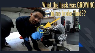 The worst brakes  I've ever done!! | Project Money Monster | EP.3