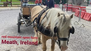 A day out | Ardgillan castle garden & Red mountain open farm in Meath Ireland