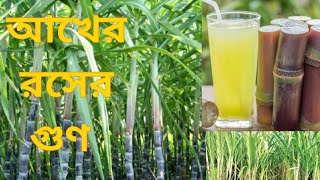 আখের রসের গুন Health Benefits Tips