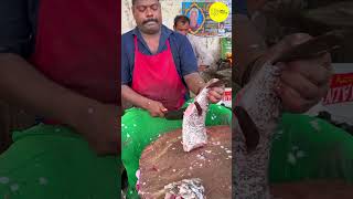 KASIMEDU SPEED SELVAM FISH CUTTING VIDEO / cutting focus #kasimeduselvam #bigfishcutting