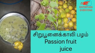 Passion fruit juice/சிறுபூனைக்காலி பழ ஜூஸ்/entertain everyone