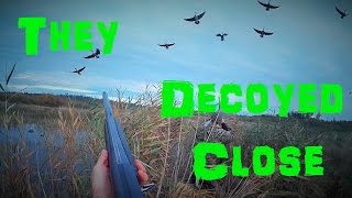 Small Water Duck Hunt | Action Video