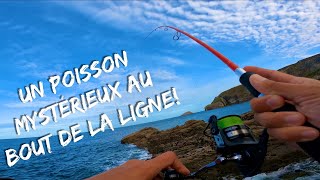 Je PÊCHE un POISSON que vous n’avez JAMAIS vu sur la chaîne YOUTUBE ! ( Zapping )