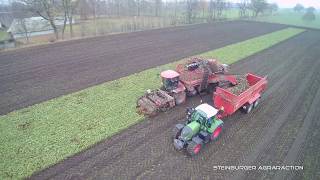 Zuckerrübenernte 2018 Kartoffelhof Hadenfeldt [Holmer, Fendt, Deutz-Fahr, Krampe (TYPHOON H)]