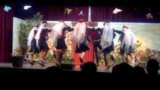 Armenian Folk Dance - Dzaghgatsor