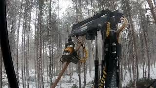 Ponsse Cobra ensiharvennus jatkuu....vähän enempi otettavaa