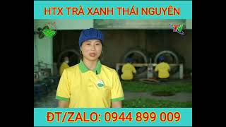 Trà Thái Nguyên | Liên tục tuyển Đại lý cấp 1 |#shorts