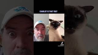 CHARLIE? IS THAT YOU? #pets #funny #viral #youtubeshorts