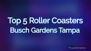 Top 5 Roller Coasters at Busch Gardens Tampa