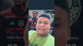 FLAMENGO AINDA  CONSEGUIRAM ZOAR O PALMEIRAS DE TODO JEITO!!