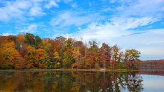 Fall color at Burke Lake Park