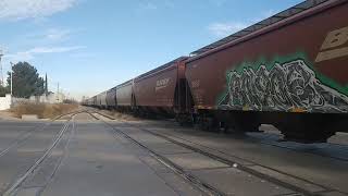 tren granelero con una ferrosur al final