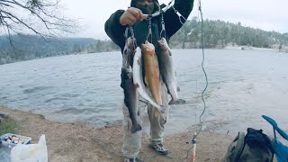 Lake Gregory Ca | trout fishing | Cold and windy day 4/13/24