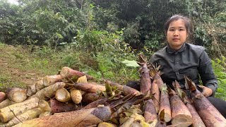 3 days - hot sun - digging wild bamboo shoots - good people helping to lend a new place to live