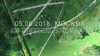 Полёт над Бирюлёвским дендропарком. Россия, Москва, Бирюлёво Восточное.