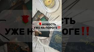 🌹ПРОЙДИ ЭТОТ ЭТАП‼️ Через терни к звездам🌟