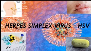 HERPES SIMPLEX VIRUS #HerpesSimplexVirus# #hsv# #virology# #microboology #