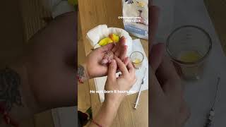 Newborn sun conure baby parrot | Hand feeding #shorts