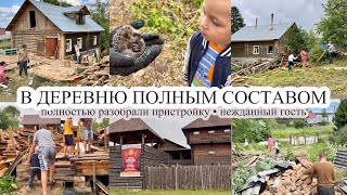 Снесли всю пристройку🪚 НЕЖДАННЫЙ ГОСТЬ🦔 В деревне полным составом👬👨‍👩‍👦