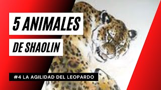 5 animales de Shaolin: La agilidad del Leopardo