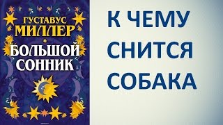 К чему снится собака. Сонник Миллера. Толкование снов.