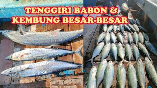 HASIL TRIP MANCING TENGGIRI PULAU SERIBU - 31 JULI 2022