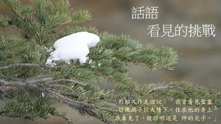 靈修:話語-看見的挑戰 20240812