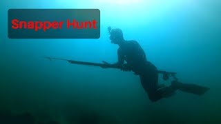 ITS 1°C AND IM GOIN SPEARFISHING!!! Snapper Hunting in deep blue! (IZS Ep.8)