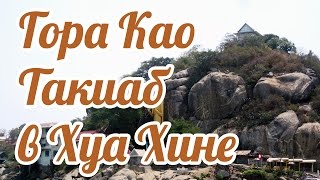 Дикие и голодные обезьяны на Горе Као Такиаб (Khao Takiab) в Хуа Хине